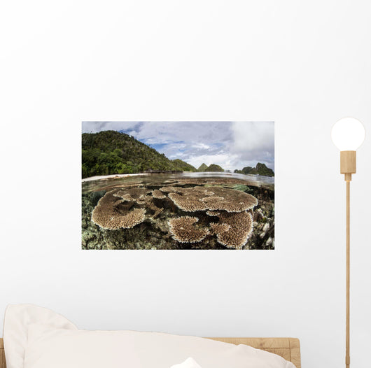 Corals Grow Shallow Reef Wall Decal Design 5