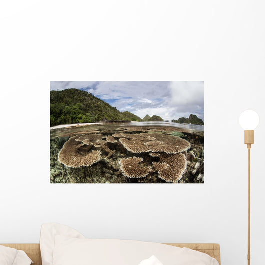 Corals Grow Shallow Reef Wall Decal Design 5