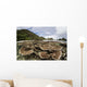 Corals Grow Shallow Reef Wall Decal Design 5