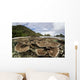 Corals Grow Shallow Reef Wall Decal Design 5