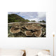 Corals Grow Shallow Reef Wall Decal Design 5