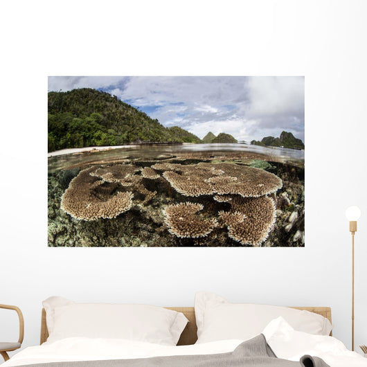 Corals Grow Shallow Reef Wall Decal Design 5