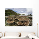 Corals Grow Shallow Reef Wall Decal Design 5