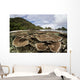 Corals Grow Shallow Reef Wall Decal Design 5