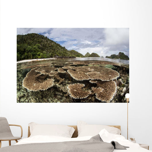 Corals Grow Shallow Reef Wall Decal Design 5