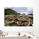 Corals Grow Shallow Reef Wall Decal Design 5