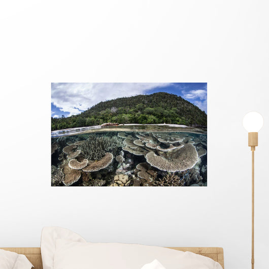 Reef-building Corals Raja Ampat Wall Decal Design 2