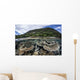 Reef-building Corals Raja Ampat Wall Decal Design 2