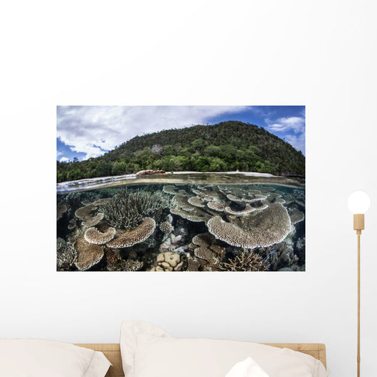 Reef-building Corals Raja Ampat Wall Decal Design 2