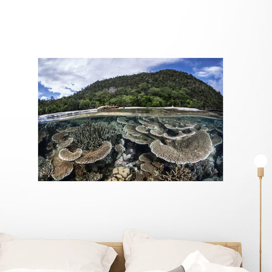 Reef-building Corals Raja Ampat Wall Decal Design 2