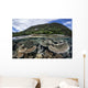 Reef-building Corals Raja Ampat Wall Decal Design 2