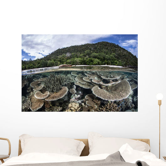 Reef-building Corals Raja Ampat Wall Decal Design 2