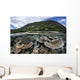 Reef-building Corals Raja Ampat Wall Decal Design 2