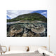 Reef-building Corals Raja Ampat Wall Decal Design 2