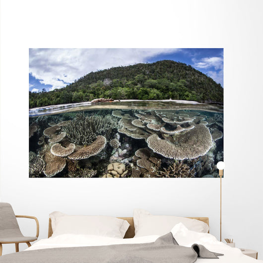 Reef-building Corals Raja Ampat Wall Decal Design 2