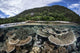 Reef-building Corals Raja Ampat Wall Decal Design 2