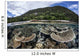 Reef-building Corals Raja Ampat Wall Decal Design 2