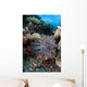 Crown-of-thorns Starfish Reef Indonesia Wall Decal