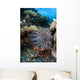 Crown-of-thorns Starfish Reef Indonesia Wall Decal