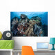 Reef-building Corals Raja Ampat Wall Decal Design 1