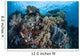 Reef-building Corals Raja Ampat Wall Decal Design 1