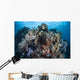 Diverse Array Invertebrates Cover Wall Decal Design 2