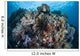 Diverse Array Invertebrates Cover Wall Decal Design 2