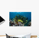 Colorful Crinoid Clings to Wall Decal Design 1