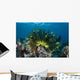 Colorful Crinoid Clings to Wall Decal Design 1