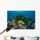 Colorful Crinoid Clings to Wall Decal Design 1