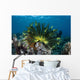 Colorful Crinoid Clings to Wall Decal Design 1