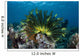 Colorful Crinoid Clings to Wall Decal Design 1