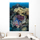 Diverse Array Invertebrates Cover Wall Decal Design 1