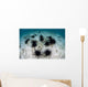 Black Spiny Urchins Graze Wall Decal Design 2