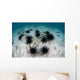 Black Spiny Urchins Graze Wall Decal Design 2
