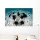 Black Spiny Urchins Graze Wall Decal Design 2