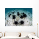 Black Spiny Urchins Graze Wall Decal Design 2