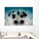 Black Spiny Urchins Graze Wall Decal Design 2