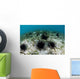 Black Spiny Urchins Graze Wall Decal Design 1