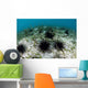 Black Spiny Urchins Graze Wall Decal Design 1