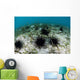 Black Spiny Urchins Graze Wall Decal Design 1