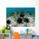 Black Spiny Urchins Graze Wall Decal Design 1