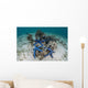 Blue Starfish Cling to Wall Decal