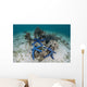 Blue Starfish Cling to Wall Decal