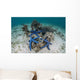 Blue Starfish Cling to Wall Decal