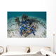 Blue Starfish Cling to Wall Decal