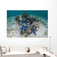 Blue Starfish Cling to Wall Decal
