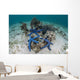 Blue Starfish Cling to Wall Decal