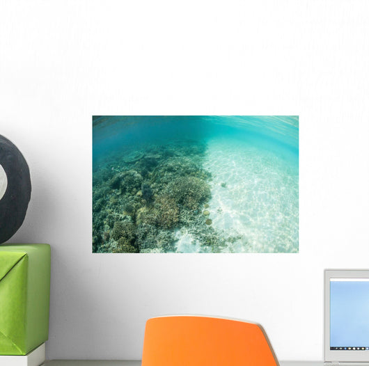 Reef-building Corals Are Encroached Wall Decal