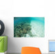 Reef-building Corals Are Encroached Wall Decal